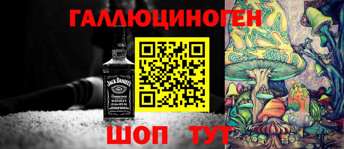Псилоцибиновые грибы мицелий Новочеркасск