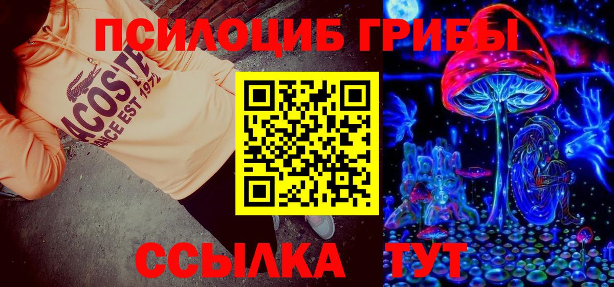 Новочеркасск  Псилоцибиновые грибы Cubensis  где купить наркоту  Вход с VPN 